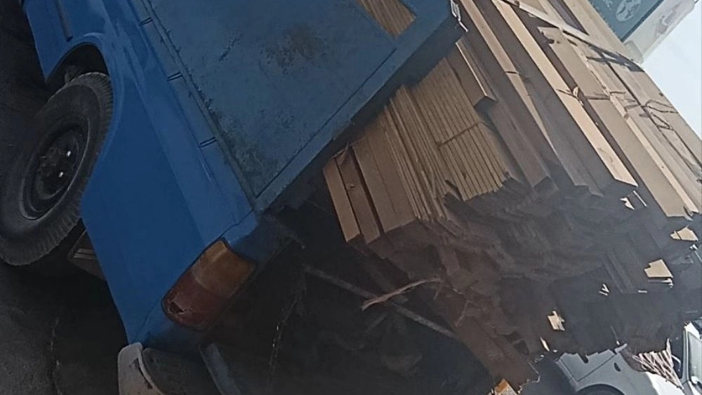 Kandil ağacının Khavaran'daki üreticiden doğrudan satın alınması